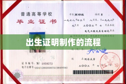 托克托出生证明制作的流程
