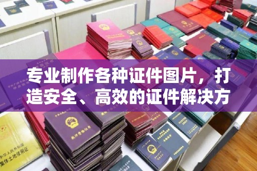 托克托专业制作各种证件图片，打造安全、高效的证件解决方案