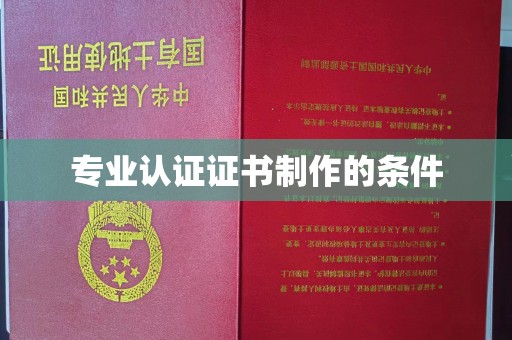 托克托专业认证证书制作的条件