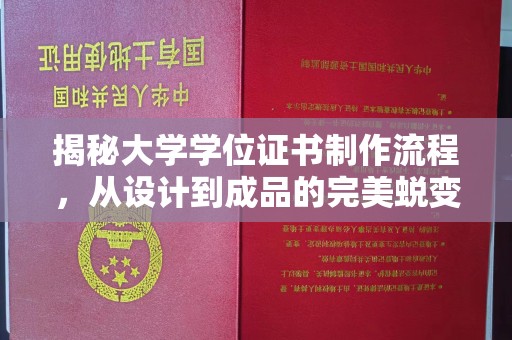托克托揭秘大学学位证书制作流程，从设计到成品的完美蜕变
