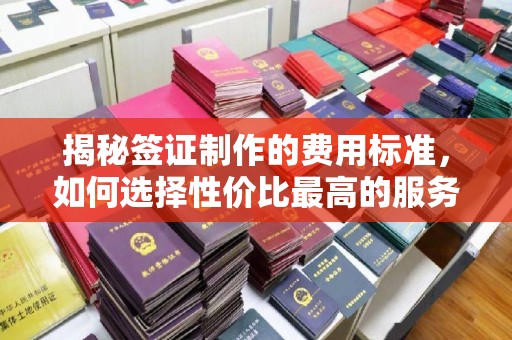 托克托揭秘签证制作的费用标准，如何选择性价比最高的服务？
