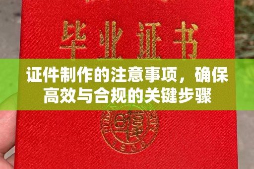 托克托证件制作的注意事项，确保高效与合规的关键步骤