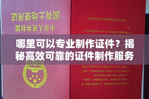 托克托哪里可以专业制作证件？揭秘高效可靠的证件制作服务