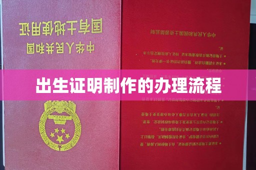 托克托出生证明制作的办理流程