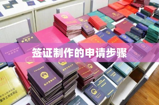 托克托签证制作的申请步骤