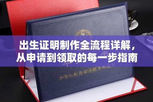 托克托出生证明制作全流程详解，从申请到领取的每一步指南