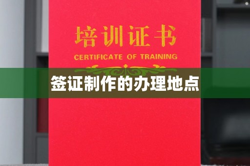托克托签证制作的办理地点