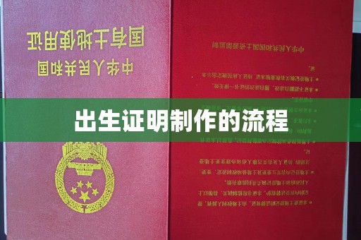 托克托出生证明制作的流程