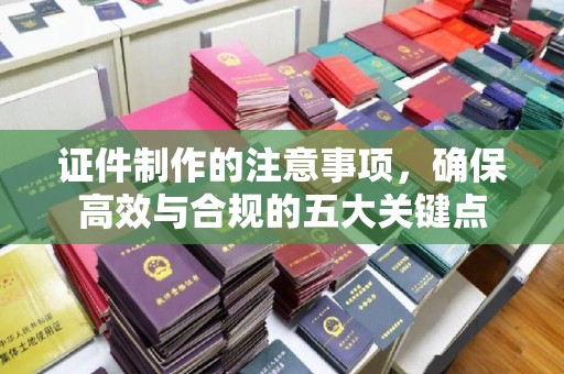 托克托证件制作的注意事项，确保高效与合规的五大关键点