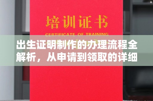 托克托出生证明制作的办理流程全解析，从申请到领取的详细指南