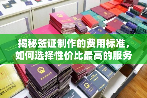 托克托揭秘签证制作的费用标准，如何选择性价比最高的服务？