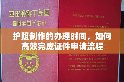 托克托护照制作的办理时间，如何高效完成证件申请流程
