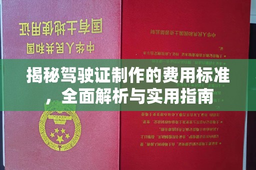 托克托揭秘驾驶证制作的费用标准，全面解析与实用指南