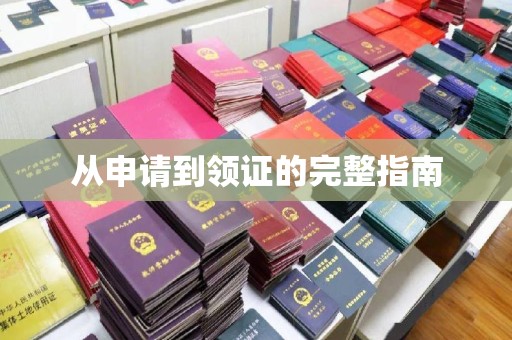 托克托从申请到领证的完整指南
