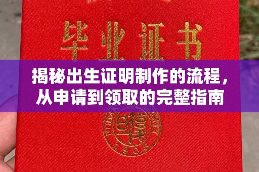 托克托揭秘出生证明制作的流程，从申请到领取的完整指南