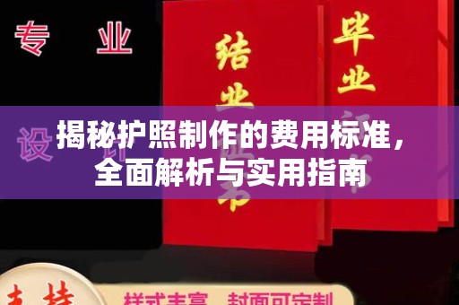 托克托揭秘护照制作的费用标准，全面解析与实用指南