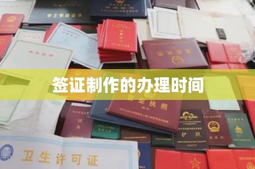 托克托签证制作的办理时间