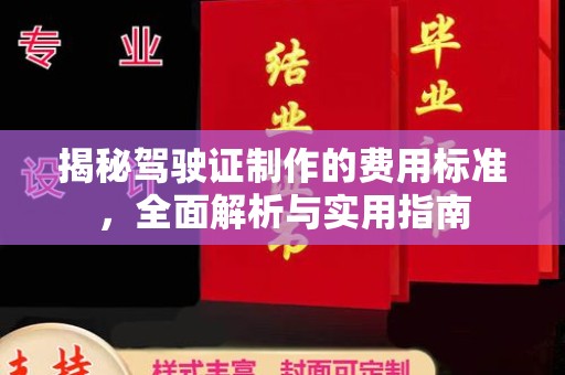 托克托揭秘驾驶证制作的费用标准，全面解析与实用指南