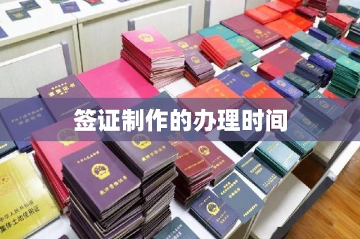 托克托签证制作的办理时间