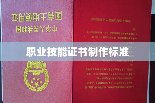 托克托职业技能证书制作标准