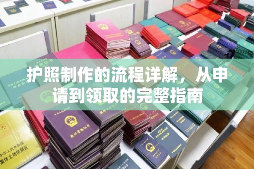 托克托护照制作的流程详解，从申请到领取的完整指南