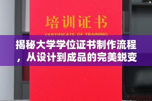 托克托揭秘大学学位证书制作流程，从设计到成品的完美蜕变