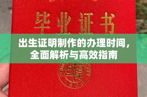 托克托出生证明制作的办理时间，全面解析与高效指南