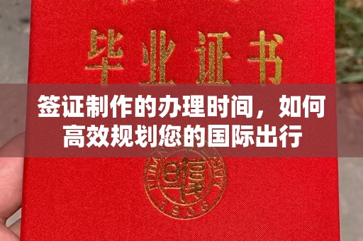 托克托签证制作的办理时间，如何高效规划您的国际出行