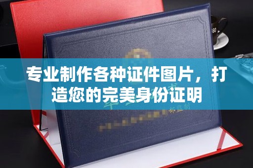 托克托专业制作各种证件图片，打造您的完美身份证明