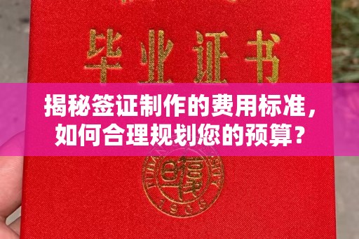 托克托揭秘签证制作的费用标准，如何合理规划您的预算？