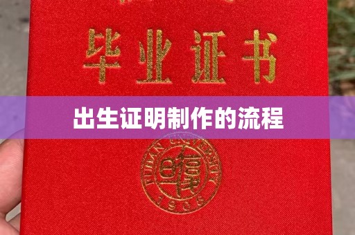 托克托出生证明制作的流程
