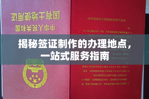 托克托揭秘签证制作的办理地点，一站式服务指南