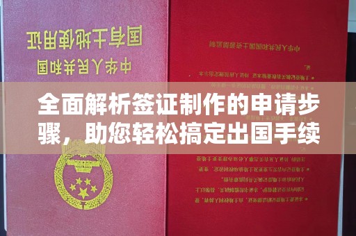 托克托全面解析签证制作的申请步骤，助您轻松搞定出国手续