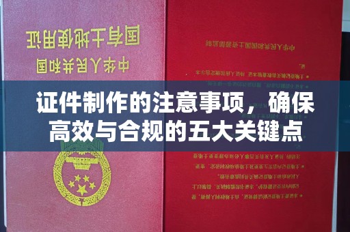 托克托证件制作的注意事项，确保高效与合规的五大关键点