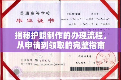 托克托揭秘护照制作的办理流程，从申请到领取的完整指南