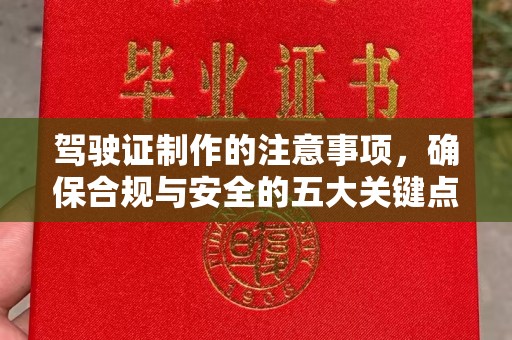 托克托驾驶证制作的注意事项，确保合规与安全的五大关键点