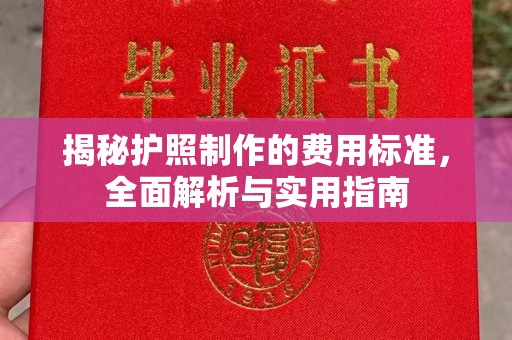 托克托揭秘护照制作的费用标准，全面解析与实用指南
