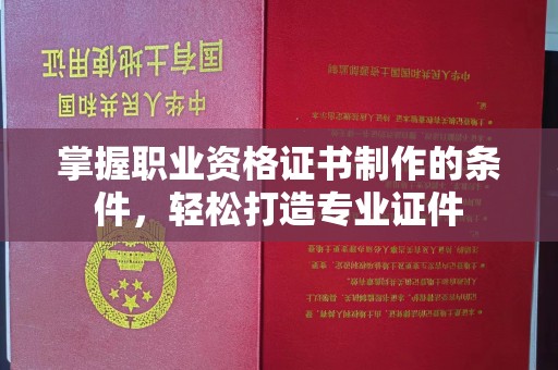托克托掌握职业资格证书制作的条件，轻松打造专业证件
