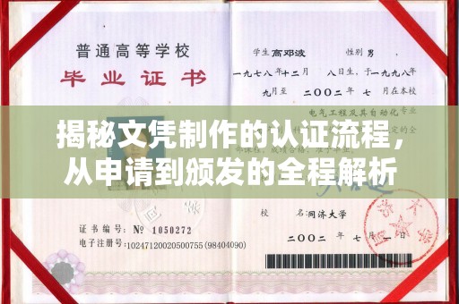 托克托揭秘文凭制作的认证流程，从申请到颁发的全程解析