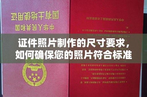托克托证件照片制作的尺寸要求，如何确保您的照片符合标准？