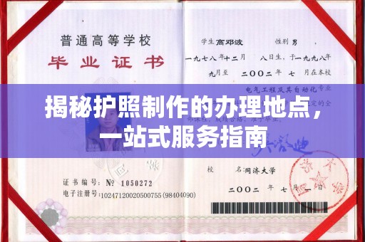 托克托揭秘护照制作的办理地点，一站式服务指南