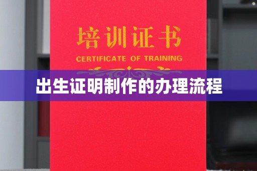 托克托出生证明制作的办理流程