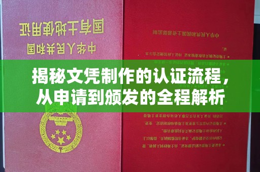 托克托揭秘文凭制作的认证流程，从申请到颁发的全程解析