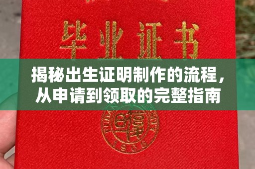 托克托揭秘出生证明制作的流程，从申请到领取的完整指南
