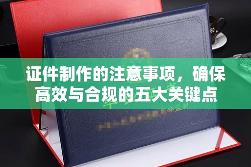 托克托证件制作的注意事项，确保高效与合规的五大关键点