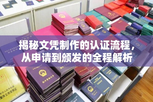 托克托揭秘文凭制作的认证流程，从申请到颁发的全程解析