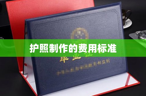 托克托护照制作的费用标准