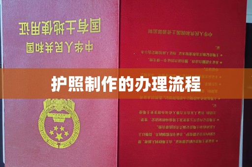 托克托护照制作的办理流程