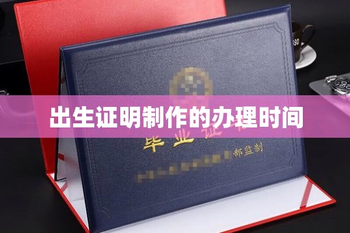 托克托出生证明制作的办理时间