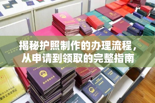 托克托揭秘护照制作的办理流程，从申请到领取的完整指南